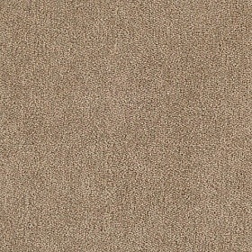 Ковролин Tarkett DRAGON  10431_4 м