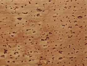 Плинтус шпонированный Pedross 60x22 Пробка рустик