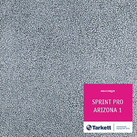 Линолеум SPRINT PRO Аризона 1 шир.4м