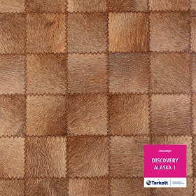 Линолеум Discovery Alaska1_4